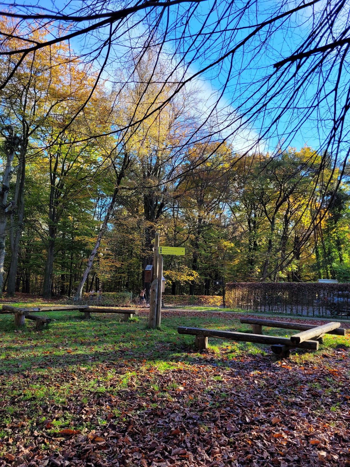 Doorn — Park met bomen en zitbank