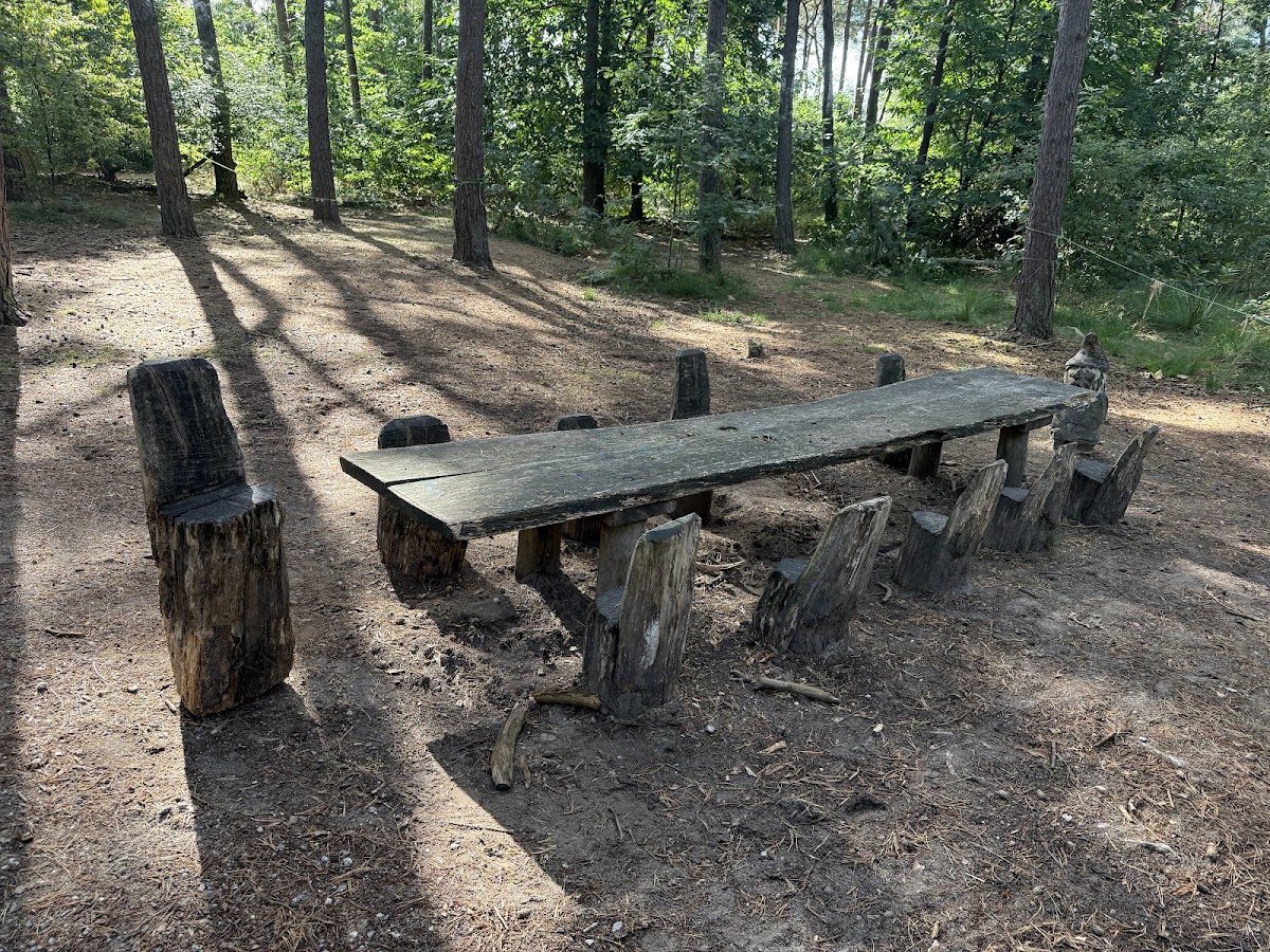 Eersel — Bospad met houten tafel en zitplaatsen