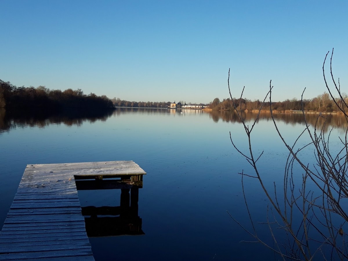 Haren — Meer met steiger en bomen