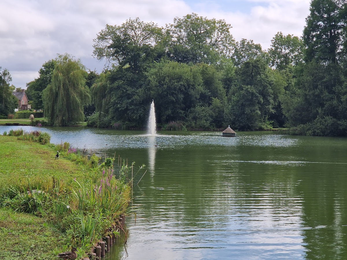 Haren — Meer met fontein en bomen