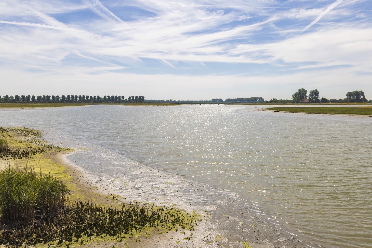 Breskens — Waterkanaal in polderlandschap