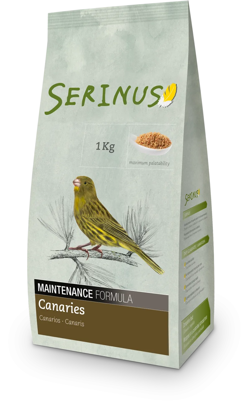 Serinus - Canaries Maintenance