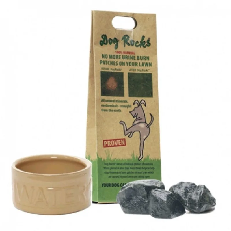 Dog rocks