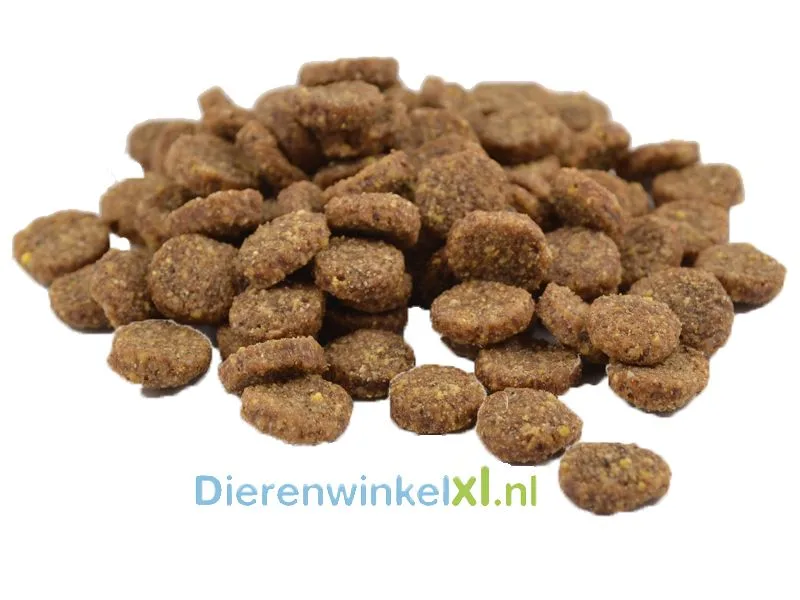 Bikkel - Premium - Senior/Light