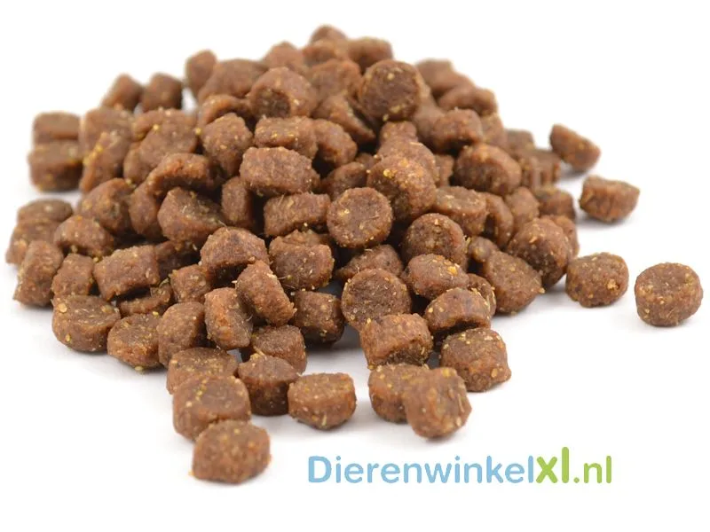 Bikkel - Premium - Pup Small