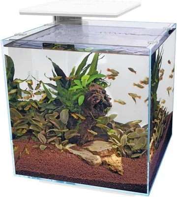 SuperFish - Qubiq 60 Pro Wit