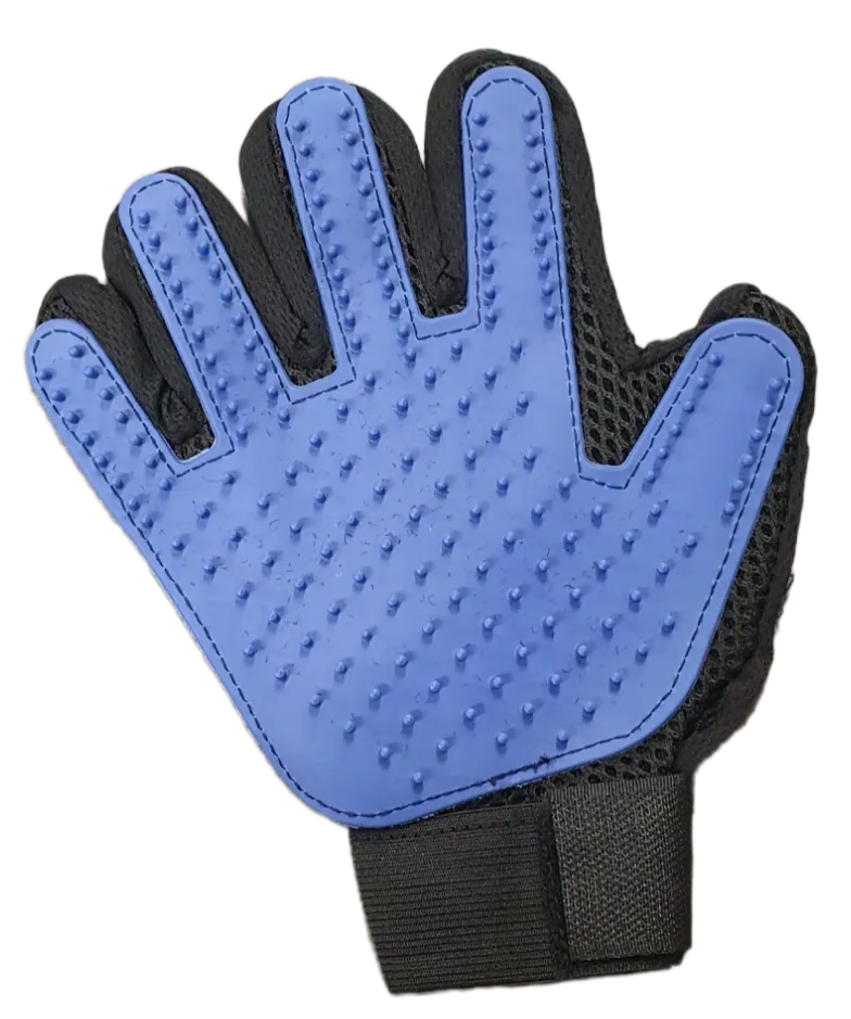 DWXL - Borstel Handschoen