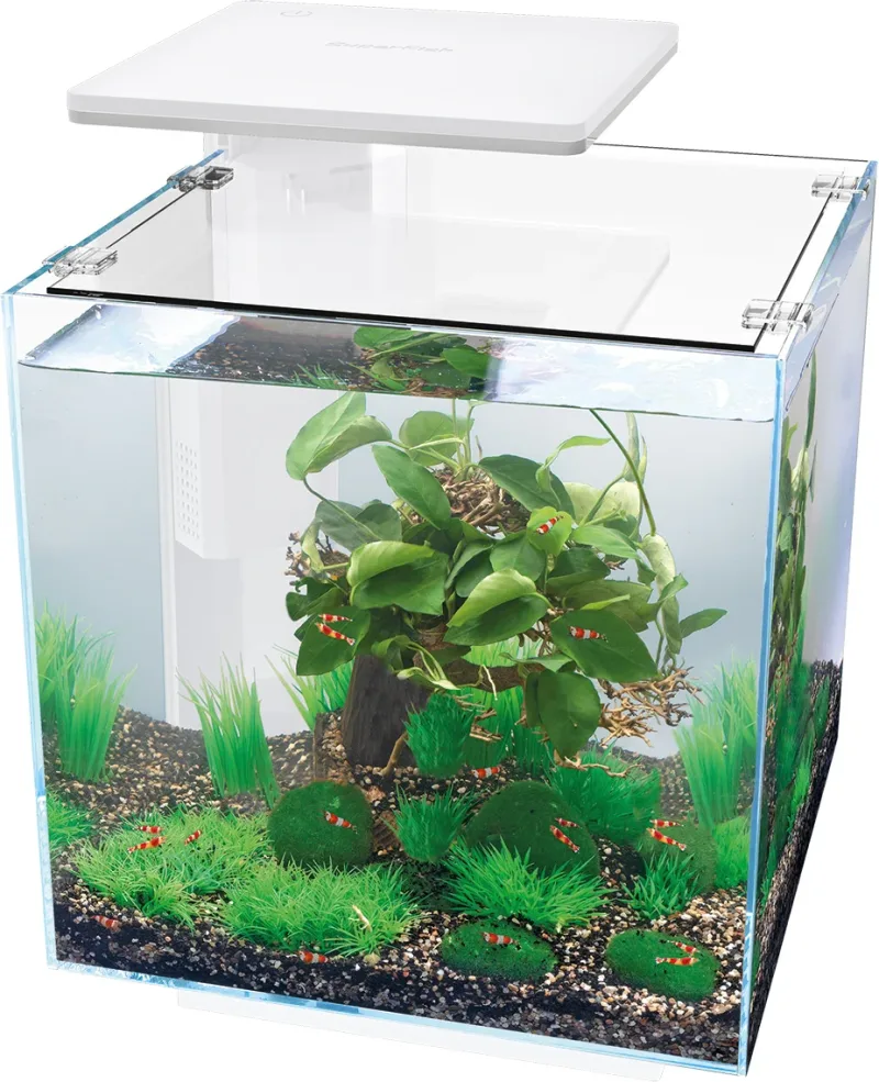Superfish - Qubiq 30 Pro Wit