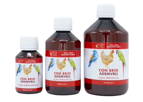 Vita Vogel - Con Brio Ademvrij