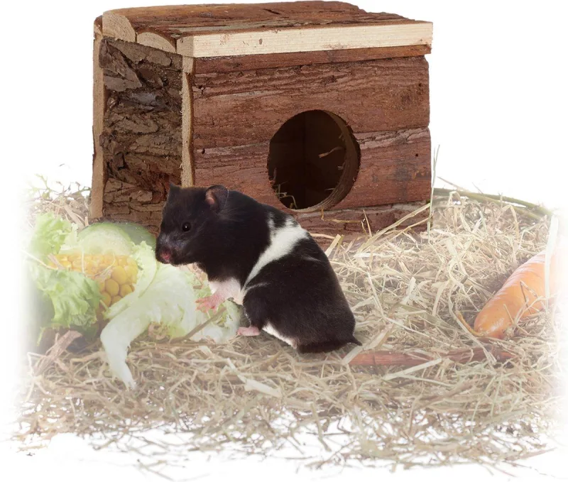 RelexDays - Hamsterhuis met verhoogde ingang