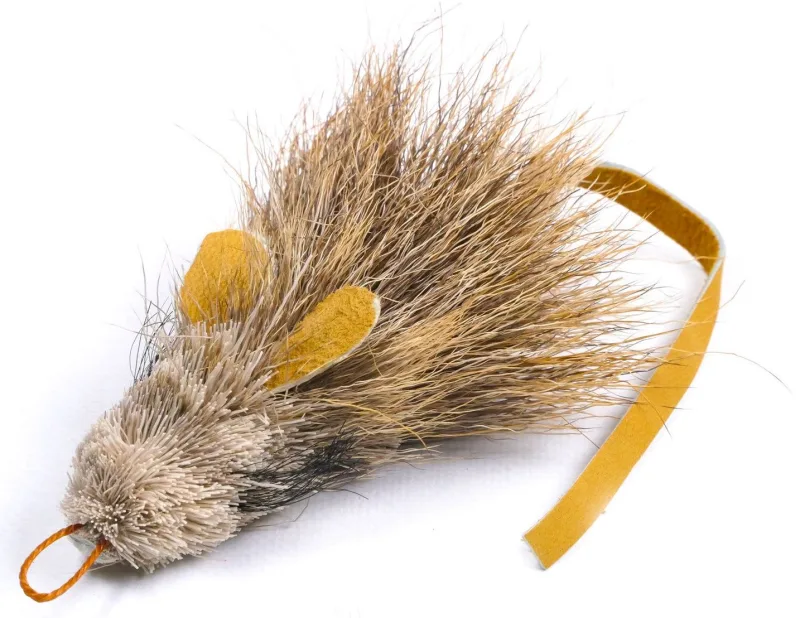 Tabby Tijger - Spits Ratcha