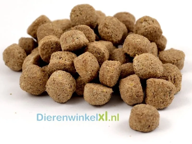 Bikkel - Basic Adult, 10kg