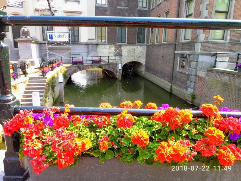 Zeeman Dordrecht Kolfstraat — foto 8