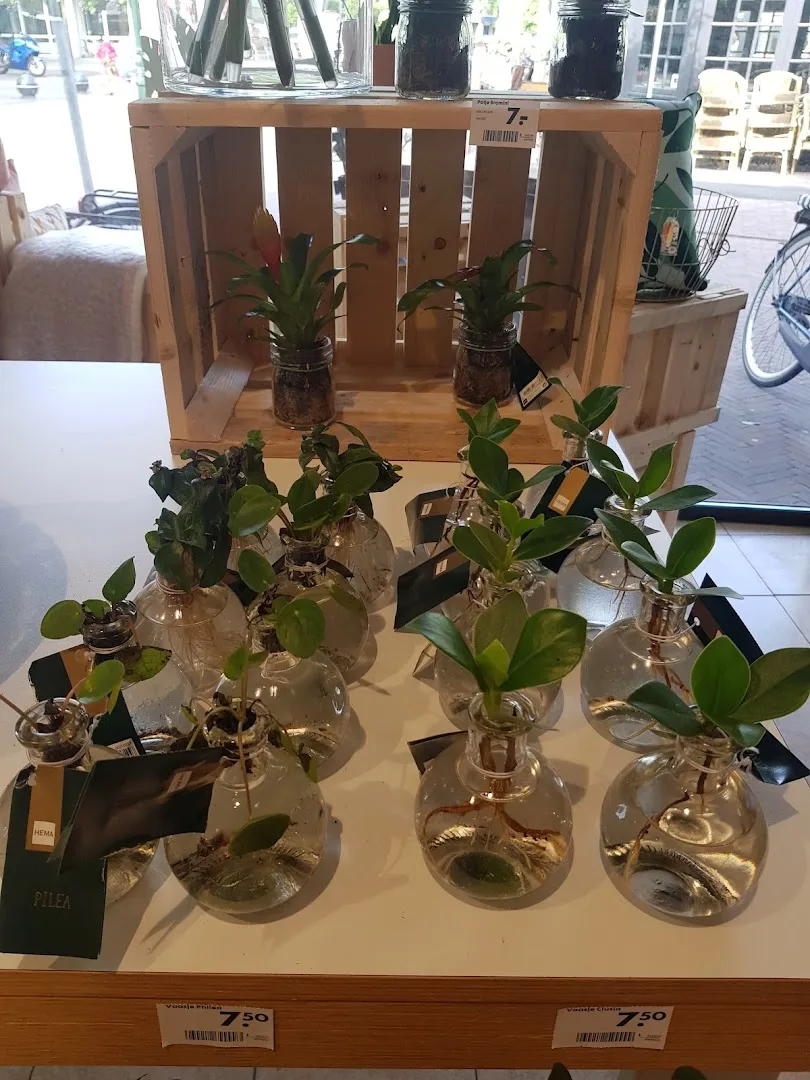 HEMA Baarn — foto 5