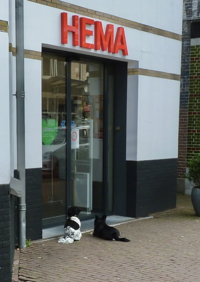 HEMA Bloemendaal — foto 5