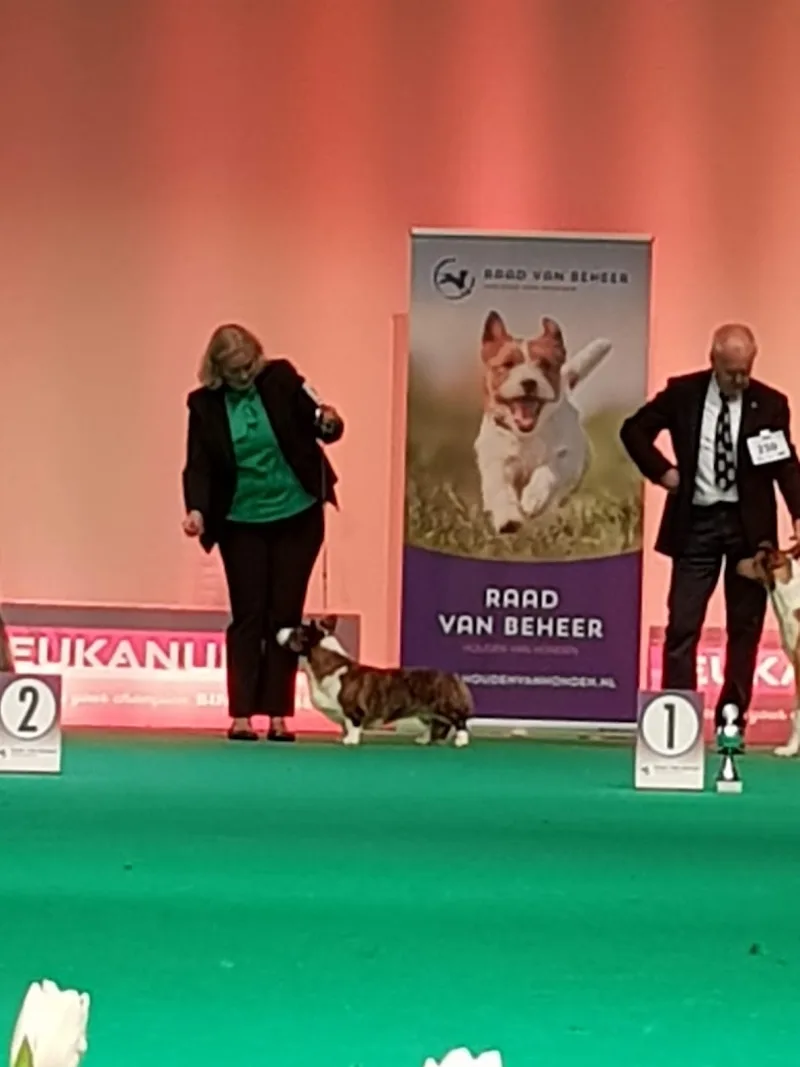 Boek & Koek — foto 10
