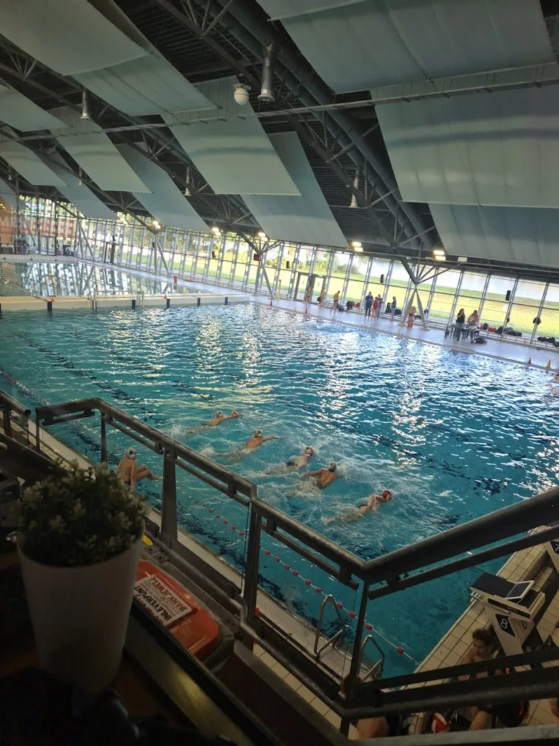 De Dolfijn — foto 4