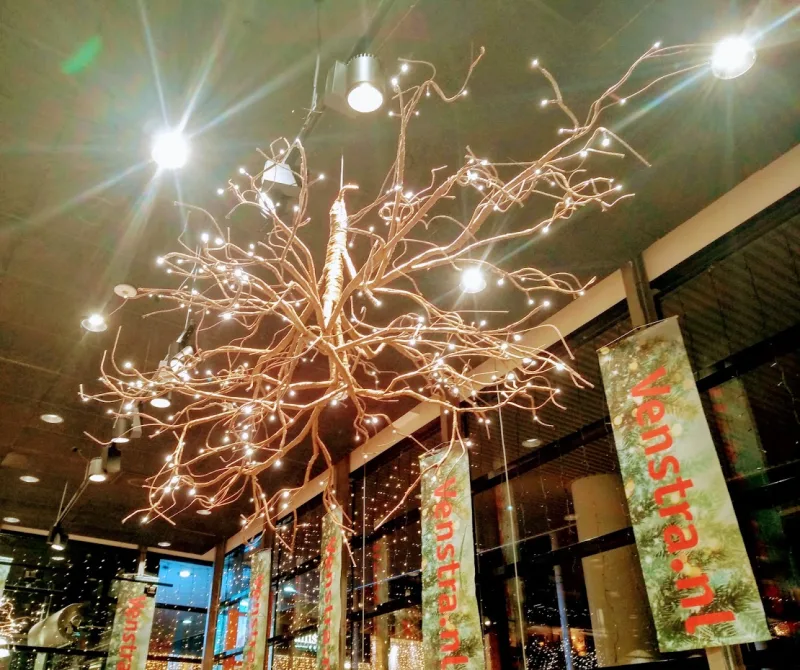 Boekhandel Libris Venstra — foto 3