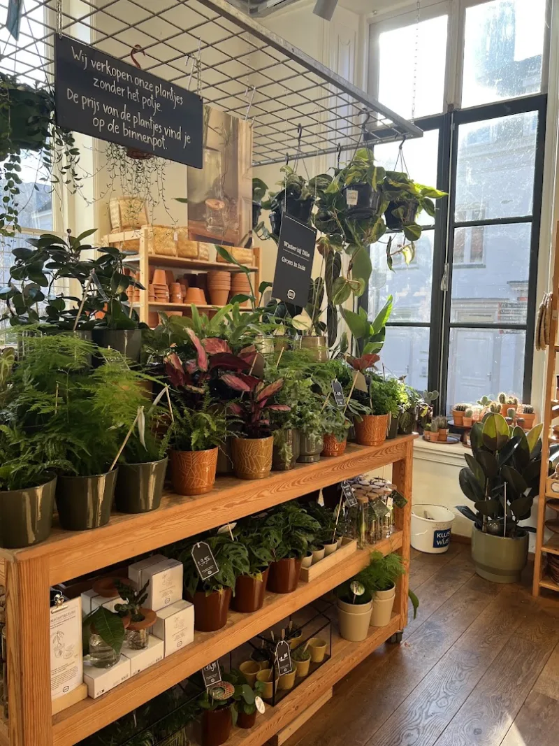 Dille & Kamille Amersfoort — foto 8