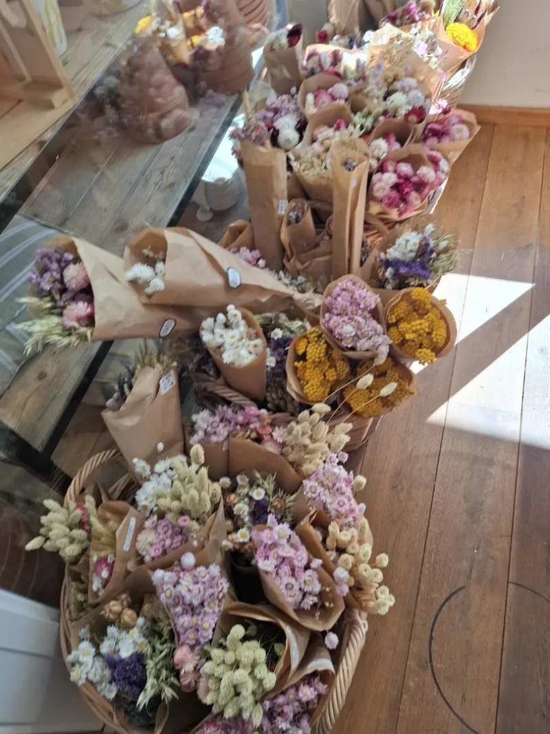 Dille & Kamille Breda — foto 10