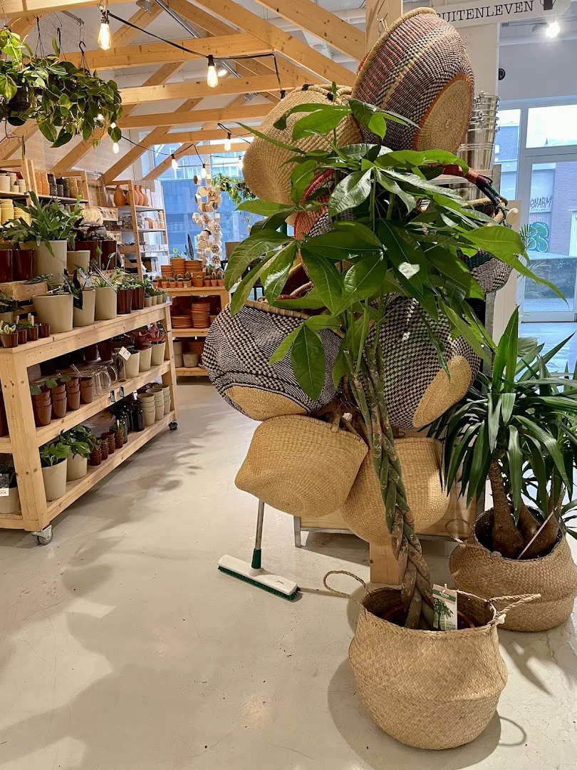 Dille & Kamille Eindhoven — foto 9