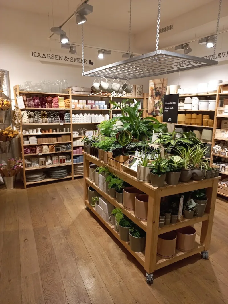 Dille & Kamille Haarlem — foto 4