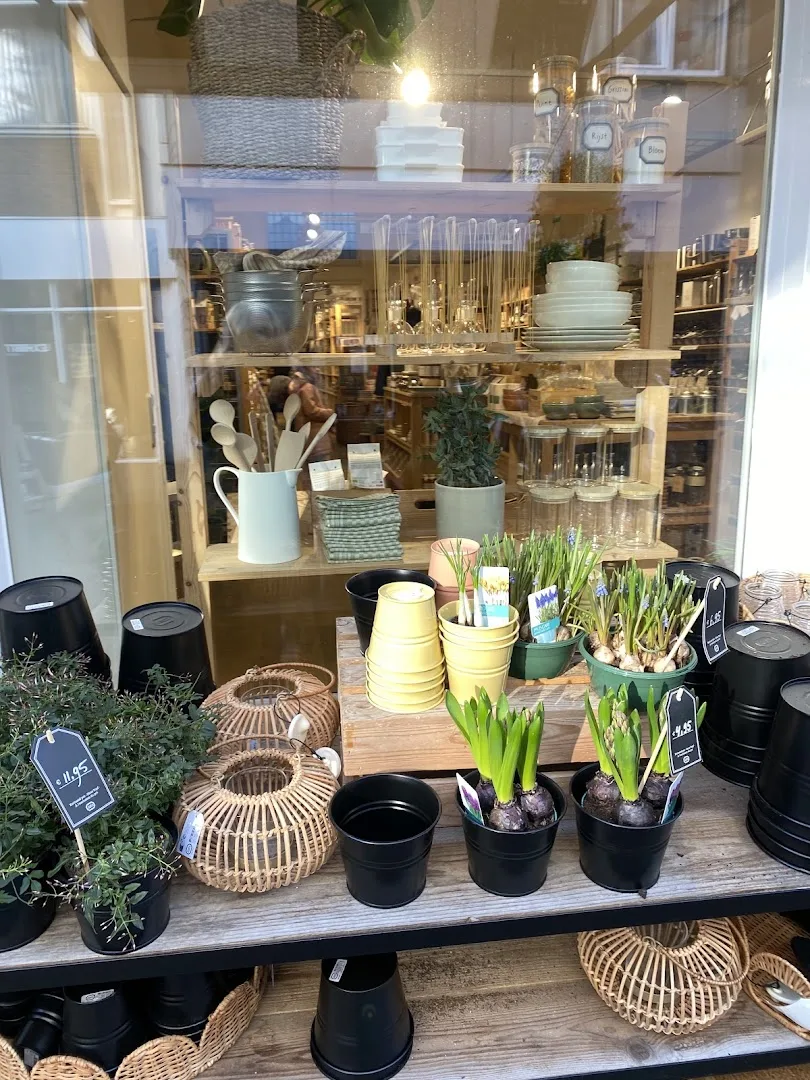 Dille & Kamille Haarlem — foto 7