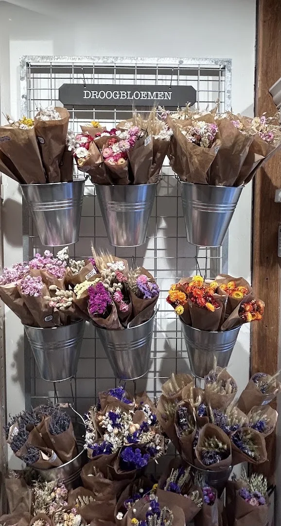 Dille & Kamille Hoorn — foto 7