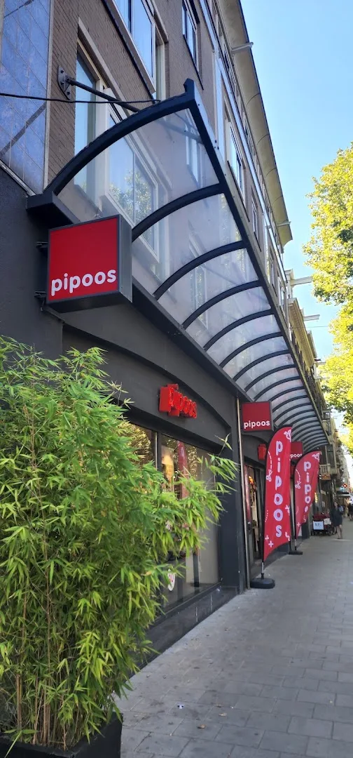 Pipoos Amsterdam Zuid — foto 11