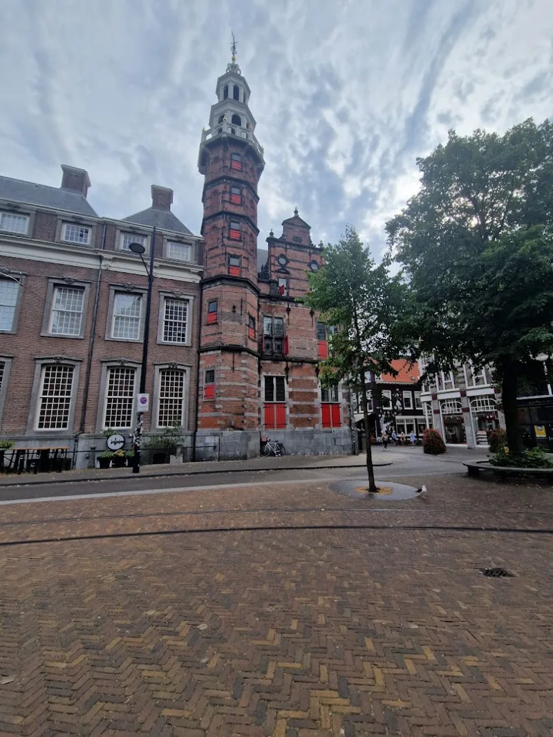 Pipoos Den Haag — foto 3