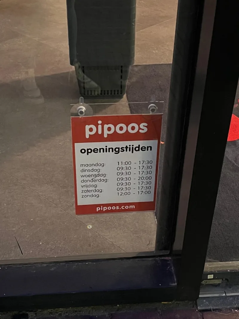 Pipoos Gouda — foto 5