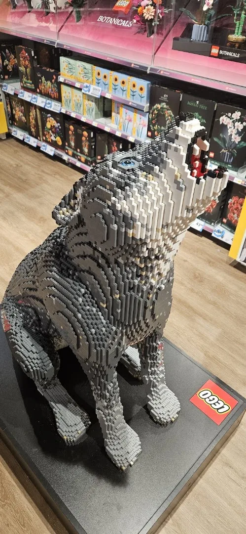 Intertoys Amersfoort — foto 9