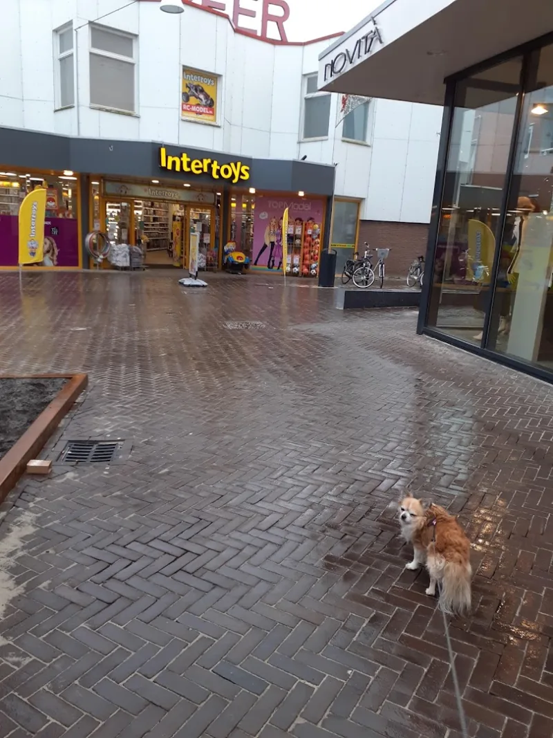 Intertoys Emmen — foto 2
