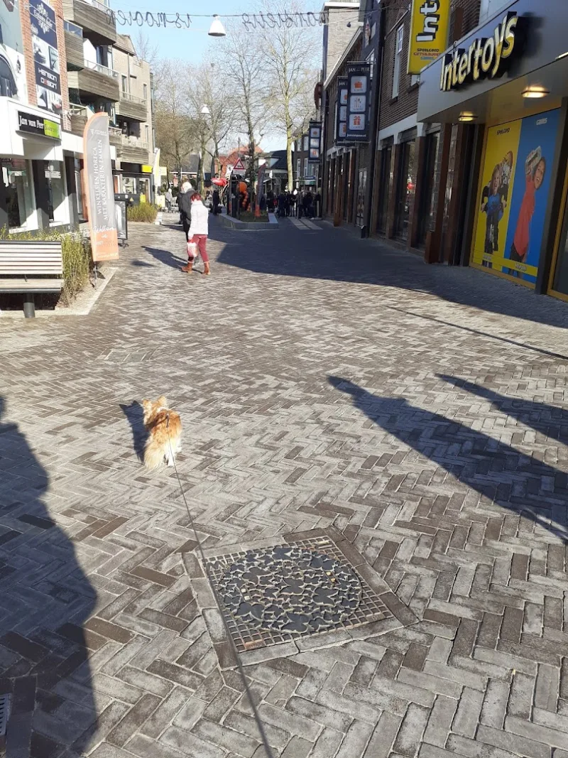 Intertoys Emmen — foto 6