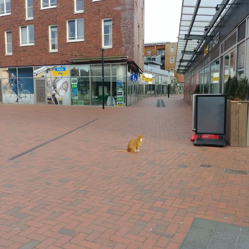Intertoys Stadskanaal — foto 5