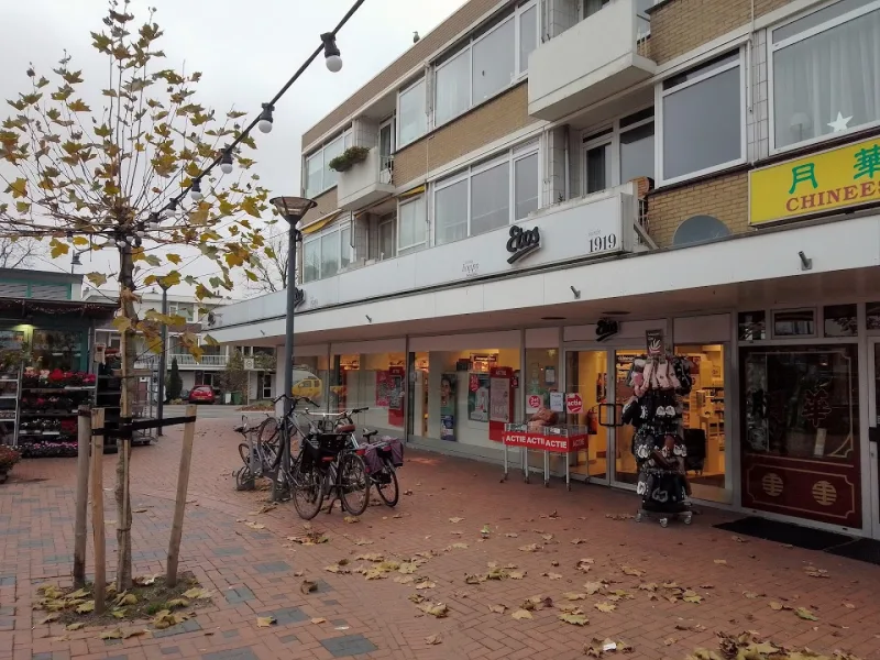 Etos Stadhoudersplein 22 Wassenaar — foto 8