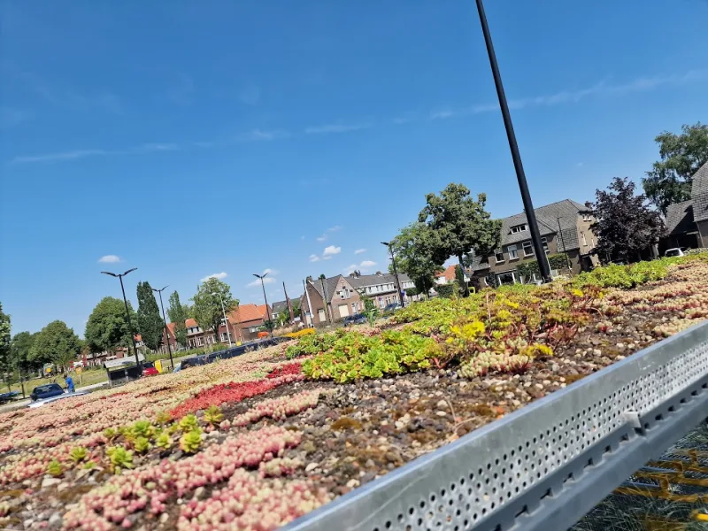Etos Van Kollaan 7 Goor — foto 4