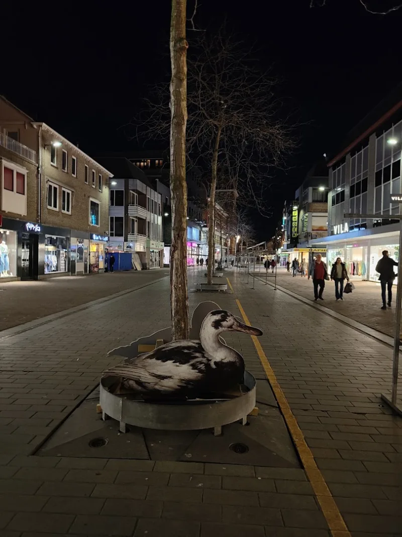 Etos Statenplein 44 Dordrecht — foto 3