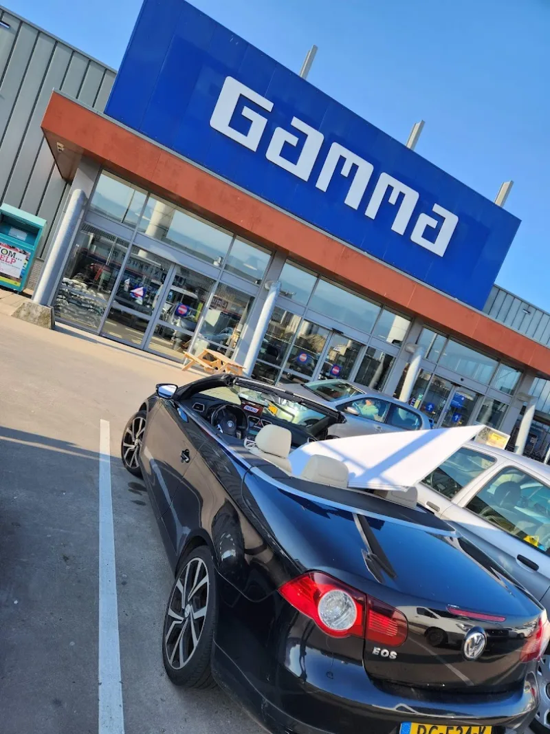 GAMMA Oss — foto 10