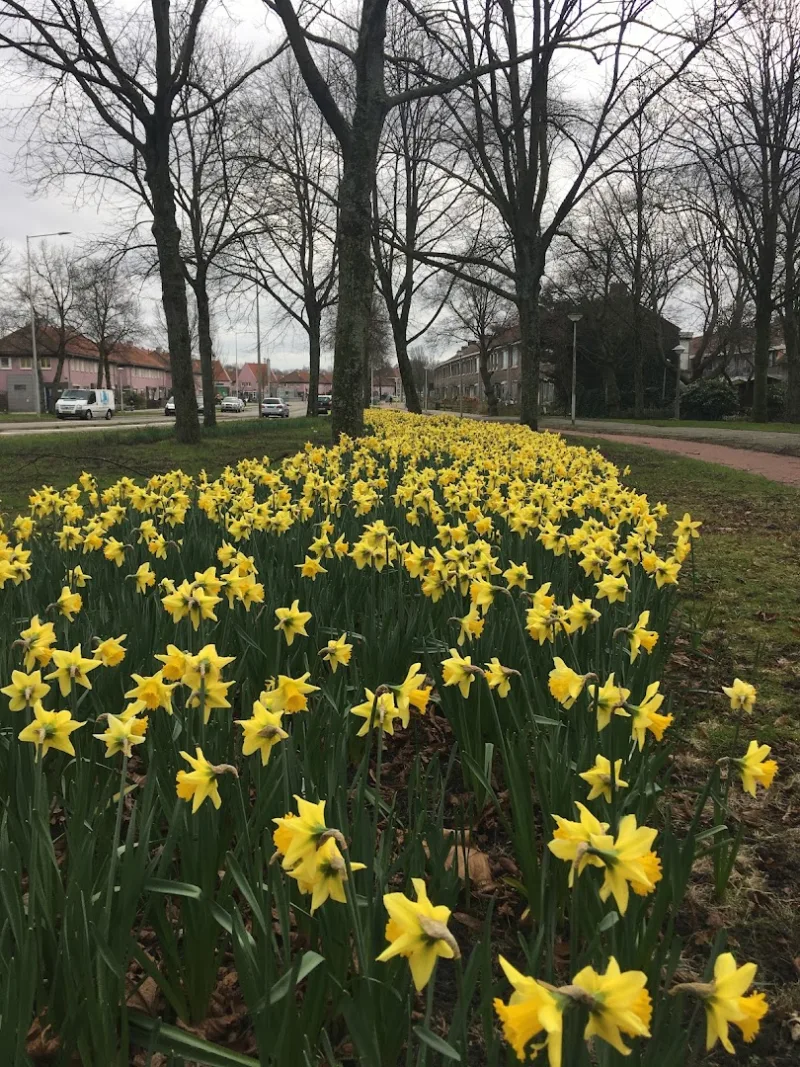 GAMMA Amsterdam-Noord — foto 10