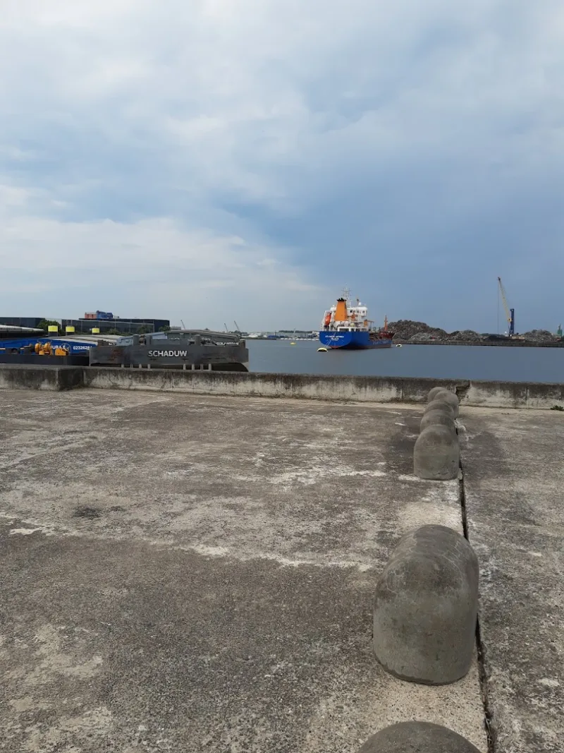 GAMMA Dordrecht — foto 10