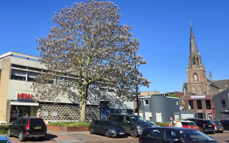 HEMA Helmond — foto 4