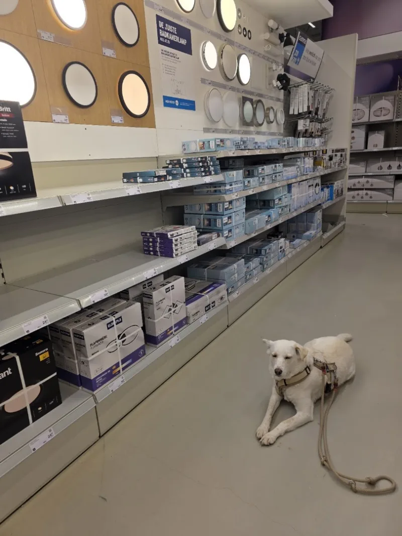 GAMMA Alkmaar — foto 4