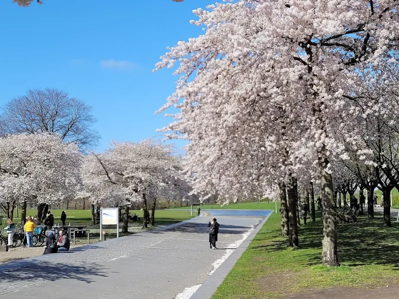 Amsterdam Westerpark — foto 4
