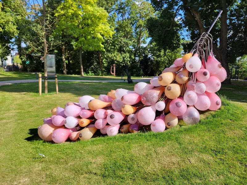 Arnhem Noord — foto 8