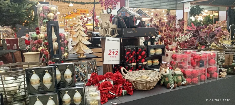Assen: Megastore & tuincentrum — foto 7