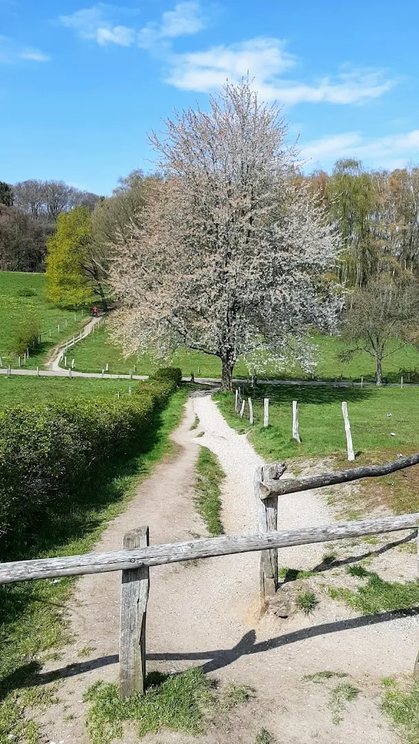 Beek — foto 2