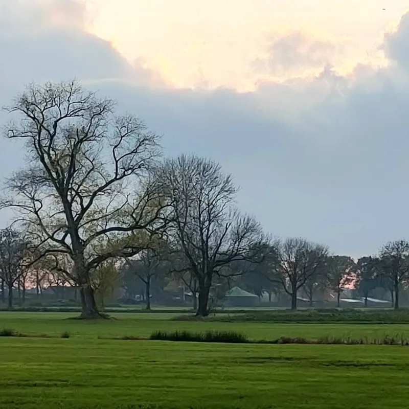 Deurne