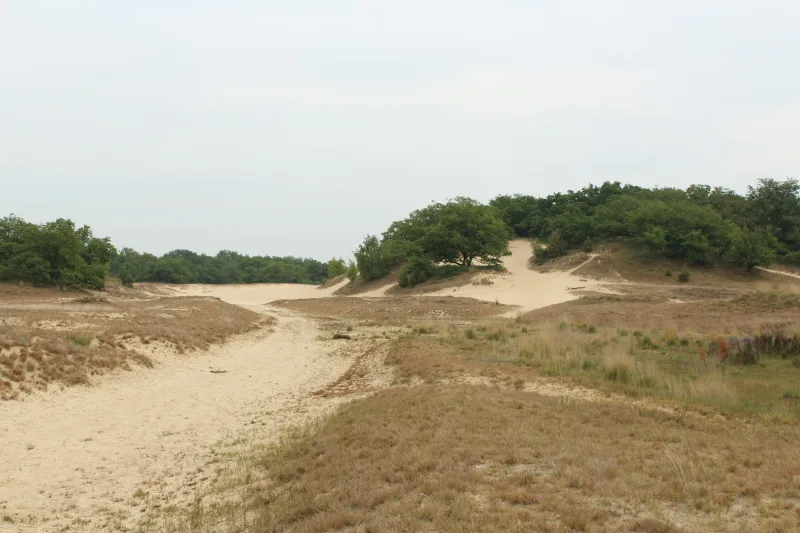 Drunen
