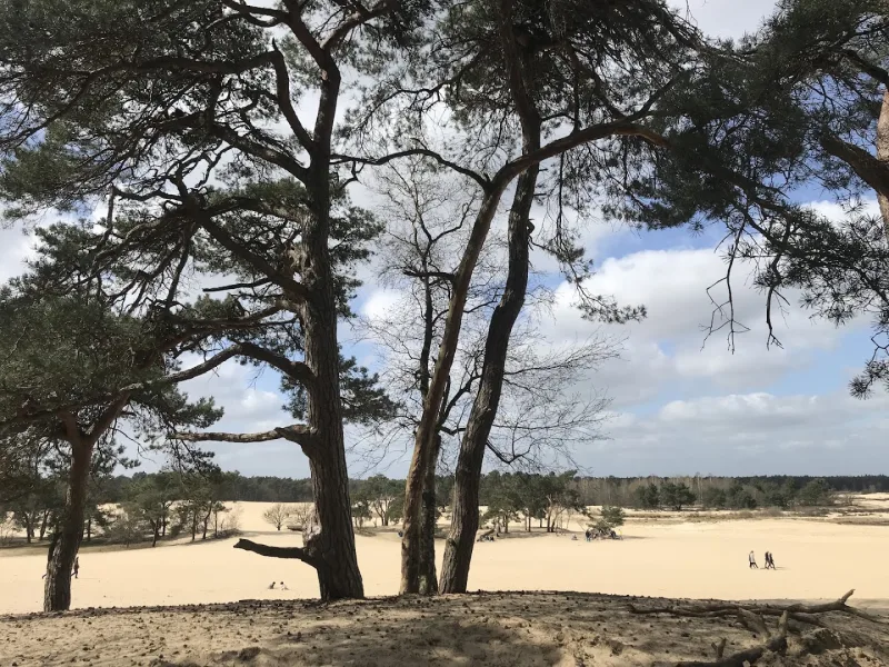 Drunen — foto 2